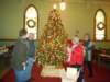 admiringthecongregationtree_small.jpg