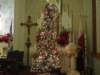 stjosephtree_small.jpg