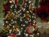 stjosephtreeclosedetails_small.jpg
